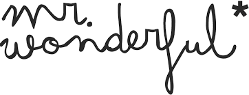 MR. WONDERFUL